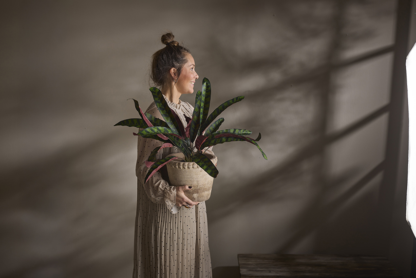 /images/imagebankSeasons/small/Mr Plant AW24/3688-96-1.jpg